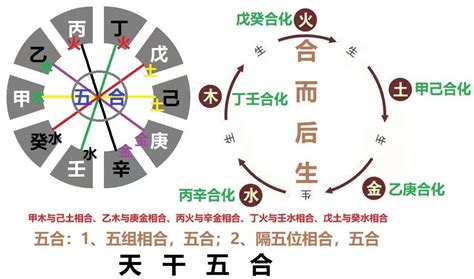 丁壬合婚姻|甲木命天干丁壬合：特征、影响与命格分析